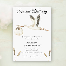 Invitación Entrega especial Stork Acuarela Baby Shower