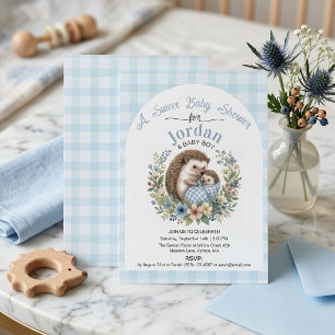 Invitación Erizo Adorable Dulce Fiesta de Bebé Cuadro de Ging