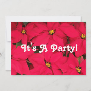 Invitación Es una Poinsettias Fiesta