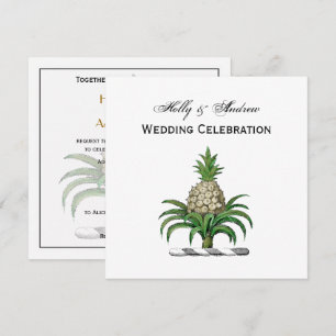 Invitación Escudo de Armas Cresta de Piña Heraldica Preppy