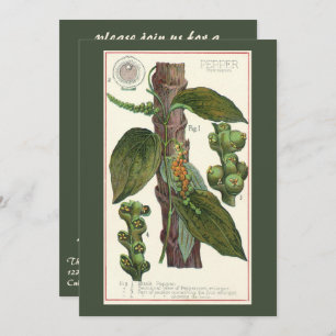 Invitación Especias de hierbas aromáticas, planta de pimienta