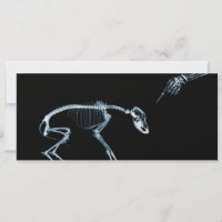 Esqueletos de rayos X invitan a perro azul malo
