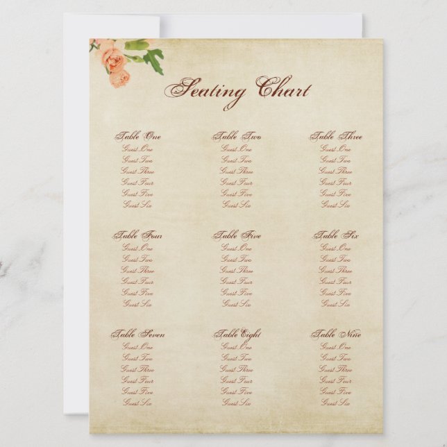 Invitación Esquinas de carnación de color agua (Reverso)