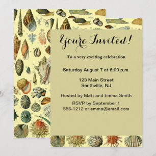 Invitación Estampa vintage de conchas de Adolphe Millot Coste