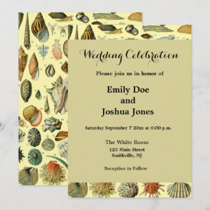 Invitación Estampa vintage de conchas de Adolphe Millot Coste