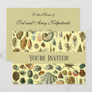Invitación Estampa vintage de conchas marinas Adolphe Millot