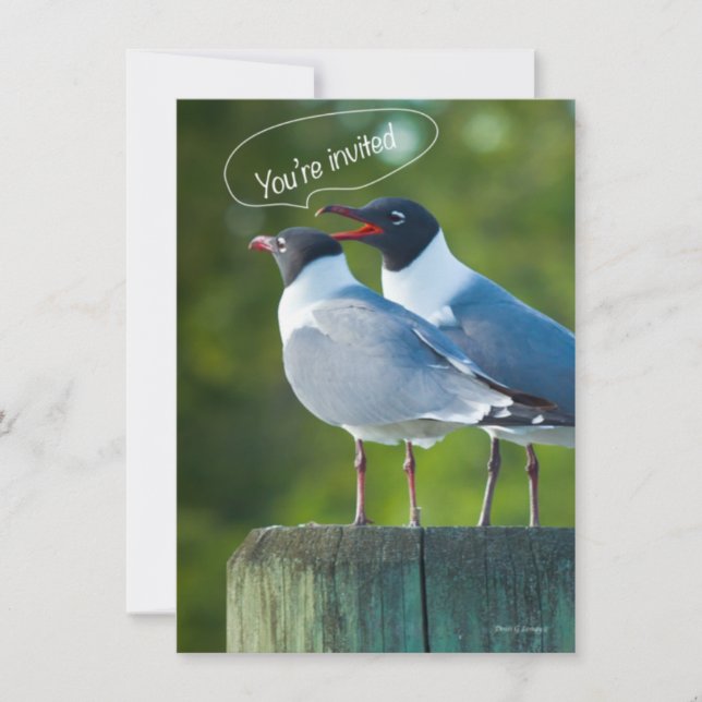 Invitación Estás Invitado (Anverso)