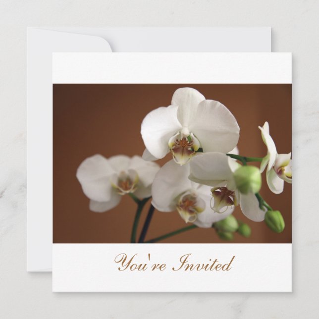 Invitación Estás invitado (Anverso)