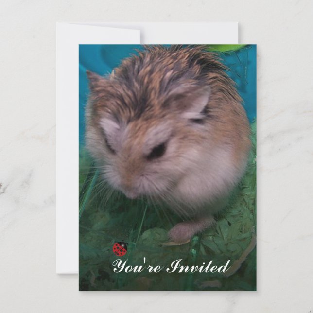 Invitación Estás invitado (Anverso)