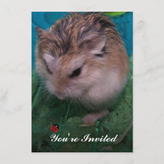 Invitación Estás invitado