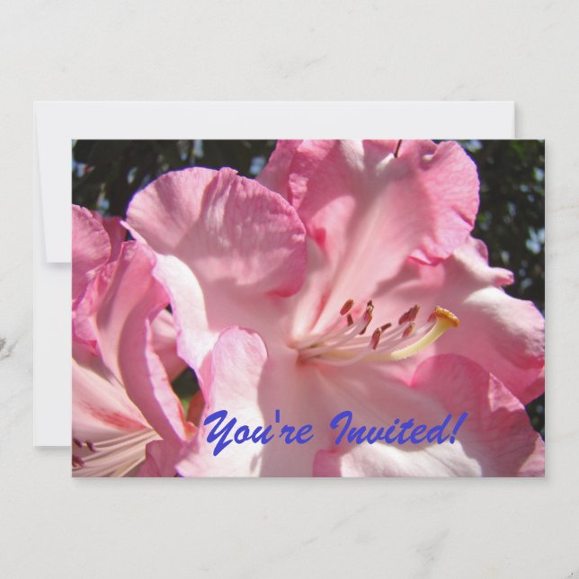 Invitación ¡Estás invitado! ¡Nos vemos en el Fiesta!Invitacio (Anverso)