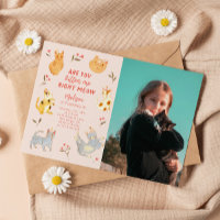 ¿Estás Kitten Me Cat Fotos De Cumpleaños?