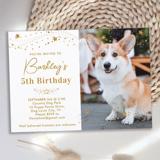 Invitación Estrellas de oro Cumpleaños Mascota personalizada  (Subido por el creador)