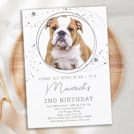 Invitación Estrellas plateadas Fotos de perros Mascotas perso