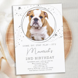 Invitación Estrellas plateadas Fotos de perros Mascotas perso