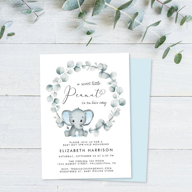 Invitación Eucalyptus Baby Boy Sprinkle (Subido por el creador)