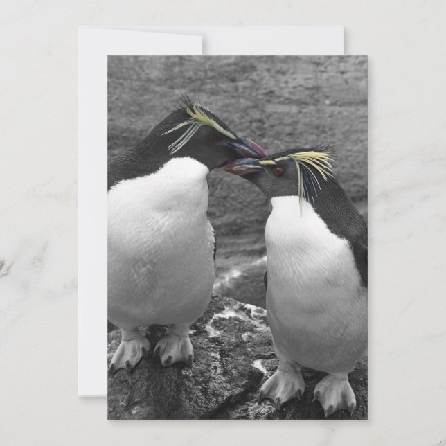 Invitación Explosión de color de pingüino (Anverso)