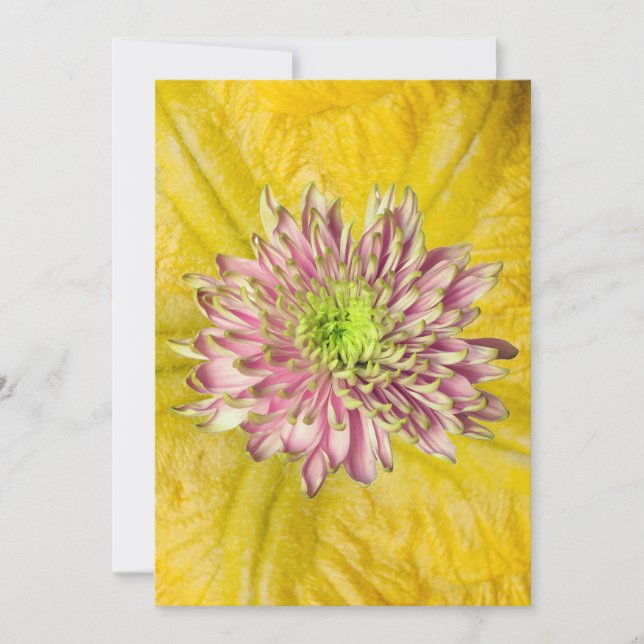 Invitación Fall Flowering Mum (Anverso)