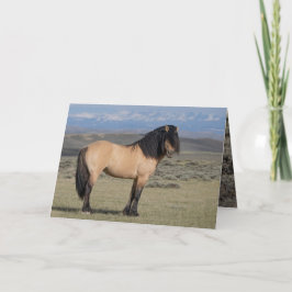 Invitación "Fallen Star in Front of the Wind River Mountains"