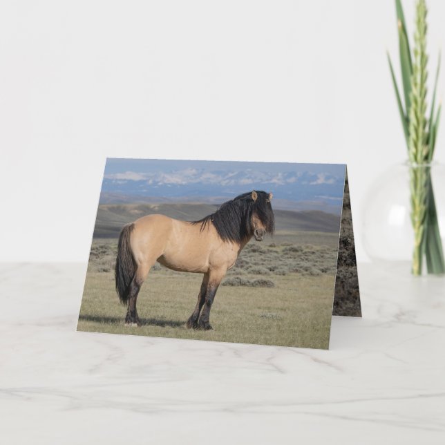 Invitación "Fallen Star in Front of the Wind River Mountains" (Anverso)