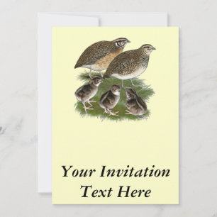 Invitación Familia de codornices Coturnix