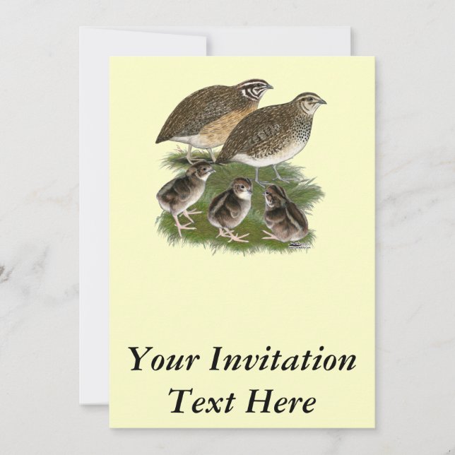Invitación Familia de codornices Coturnix (Anverso)
