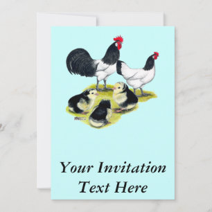 Invitación Familia de gallinas Lakenvelder