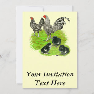 Invitación Familia de la gallina enana Old English Barred