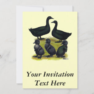 Invitación Familia de patos Cayuga