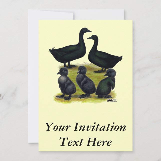 Invitación Familia de patos Cayuga (Anverso)