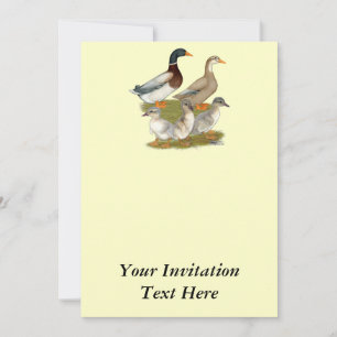 Invitación Familia de patos de Sajonia