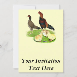 Invitación Familia de pollo Aseel Wheaten