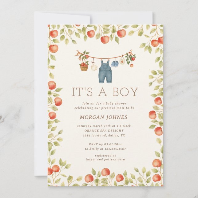 Invitación Farmhouse Baby Clothesline Baby Shower (Anverso)