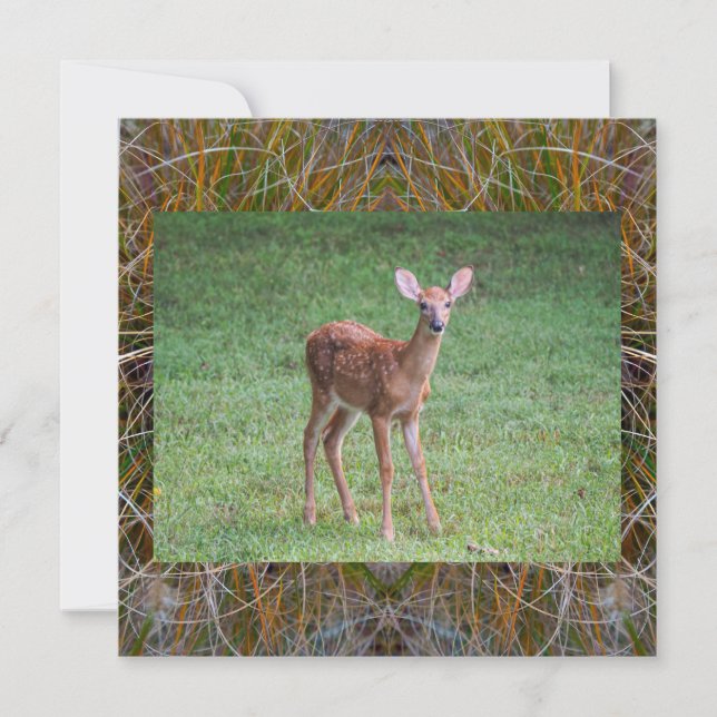 Invitación Fawn (Anverso)