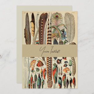 Invitación Feather Bird Wildlife Antigüedades Feathers