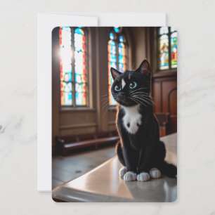 Invitación Felini en Dublín - Santo Purr-fección