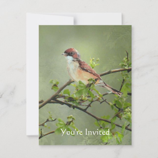 Invitación Feliz cumpleaños acuarela Whitethroat Tema de pája (Anverso)
