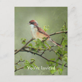 Invitación Feliz cumpleaños acuarela Whitethroat Tema de pája