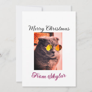 Invitación Feliz gato de Navidad perro mascota foto de amor a