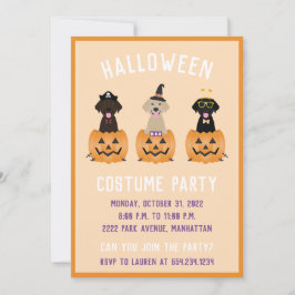 Invitación Feliz Halloween Labrador Recuperar Calabaza de Per