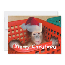 Feliz Navidad Crea tu propio mensaje