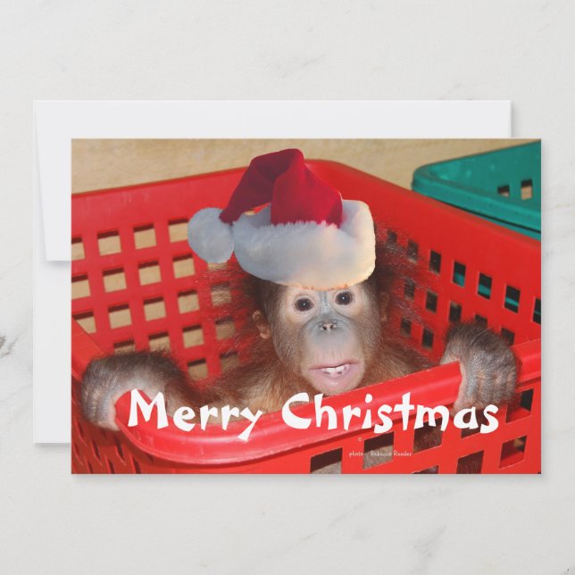 Invitación Feliz Navidad Crea tu propio mensaje (Anverso)