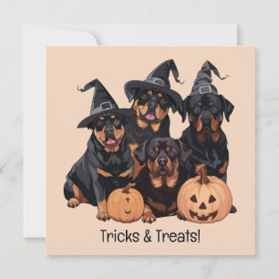 Invitación Feliz Rottweiler de Halloween perros Jack O Lanter