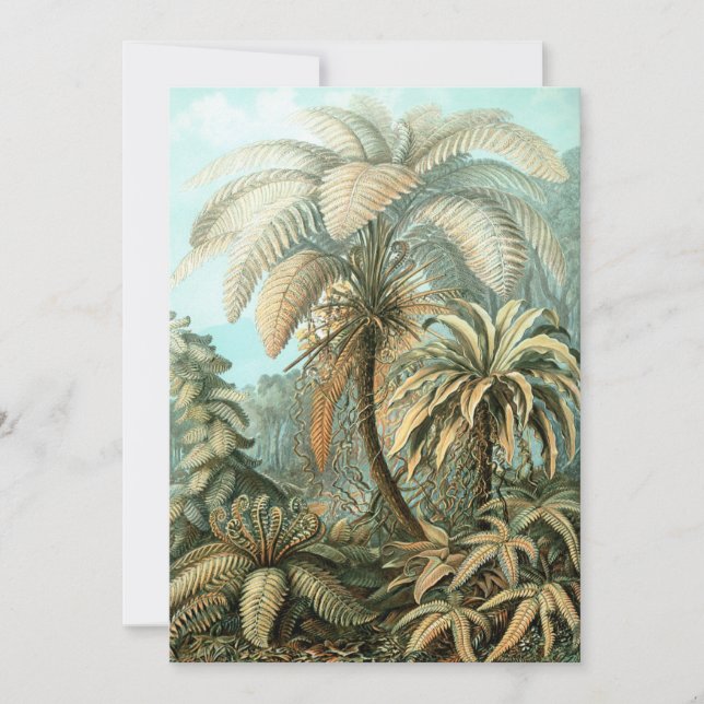 Invitación Fern (Filicinae) de Haeckel (Anverso)