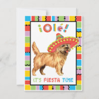 Fiesta Cairn Terrier