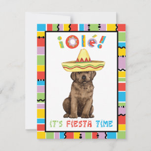 Invitación Fiesta Chocolate Lab