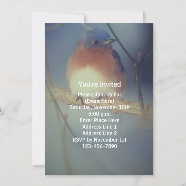Invitación Fiesta de animales de pájaros azules de invierno (Anverso)