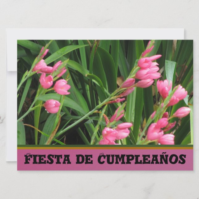 Invitación - Fiesta de Cumpleaños (Anverso)
