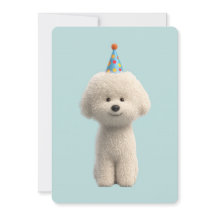 Fiesta de cumpleaños de Bichon Frise