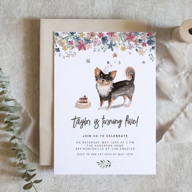 Invitación Fiesta de cumpleaños de Chihuahua (Celebrate your furry friend’s special day with our charming black Chihuahua birthday invitation.)
